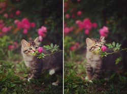 Don’t forget to stop and smell the flowers