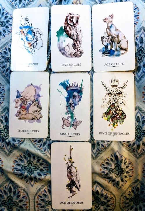 GEMINI FULL MOON : Cards pulled on 11/21/2018During this Gemini full moon thoughts will be clear, bu