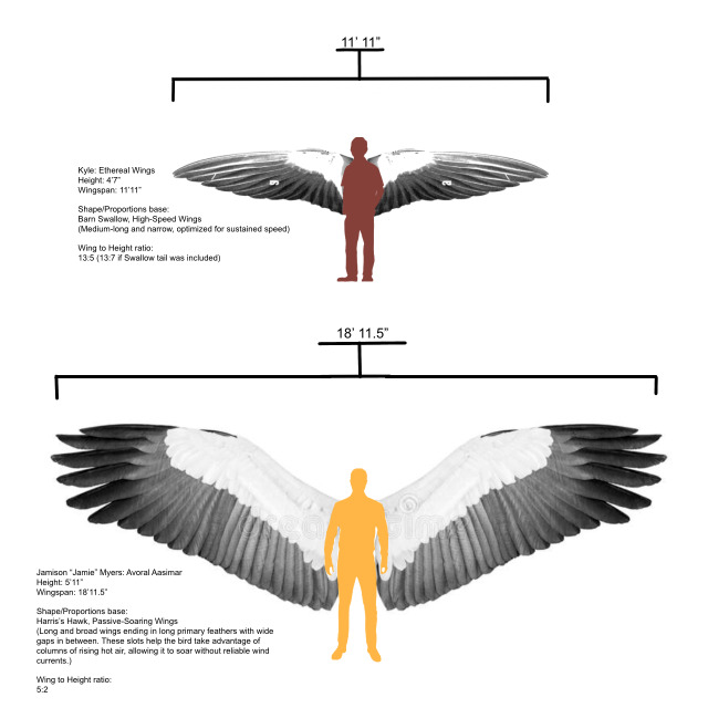 The thing about doing research before you draw is finding the length to