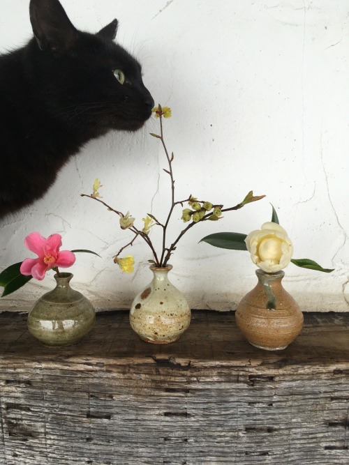 春の花を小壷に生けました。