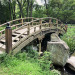 tatooinexprincess-deactivated20:just like a fairytale 🌱✨Maymont Park, Richmond,