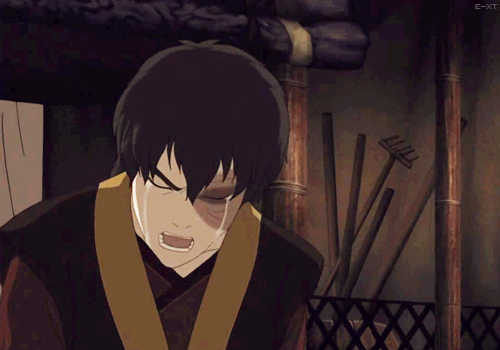 theadamantdaughter:  I- I just can’t get over Zuko and his arc. Everything he did