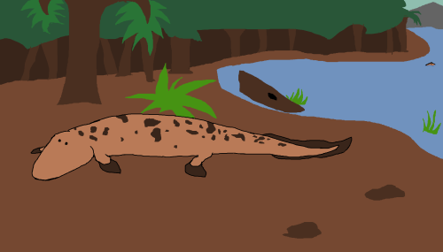 Tiktaalik roseaeLate Devonian (375 Ma)I&rsquo;m back again, after a loooong time neglecting this blo