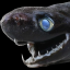 vipergrimfish