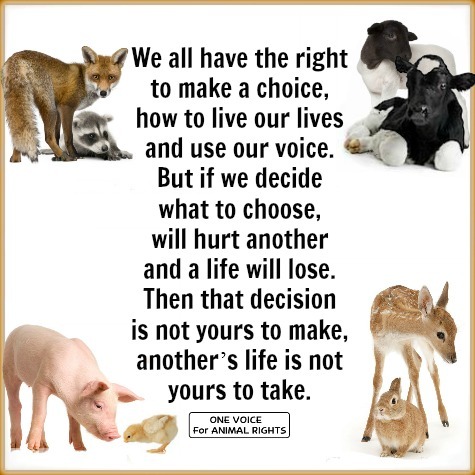 One Voice for Animal Rights