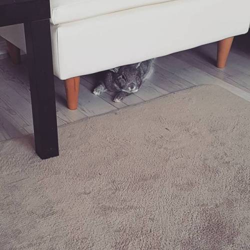 instagram beautiful boy slowly falls asleep under sofa