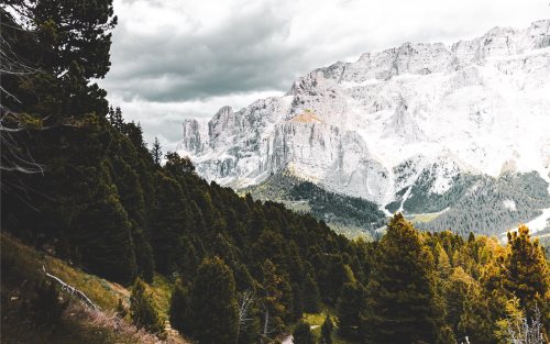 wanderingworld
