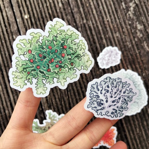 Lichen stickers! Store link in my pinned post.