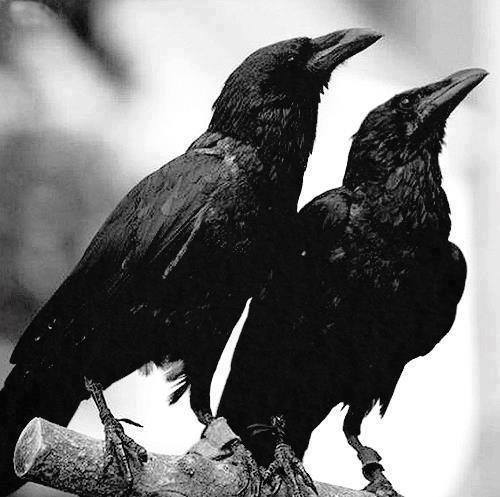 Darkness & Loneliness