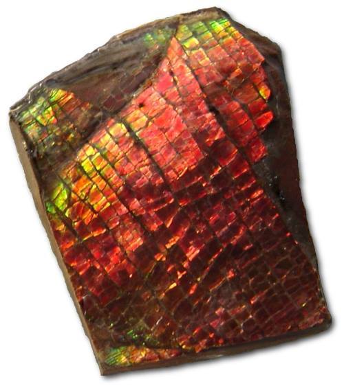 Ammolite, revisited&hellip;While I did cover this lovely gem material before (see on.fb.m