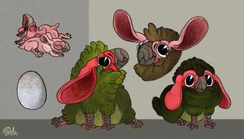 spookygibberish:Laplops, a chicken-sized livestock animal haruspers raise for meat and eggs. absolut