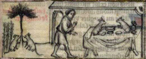 chouettealunettes:Animals seems to have a lot of fun in that medieval fables collection ! BnF : http