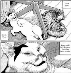 ohcorny:  every now and then i have to reread junji ito’s cat diary and it’s the best every single time 