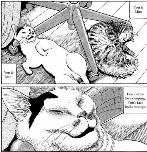 ohcorny:  every now and then i have to reread junji ito’s cat diary and it’s the best every single time 