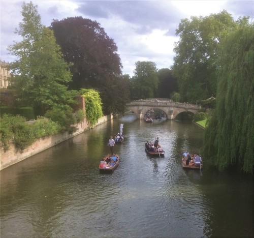 Punting Cambridge, UKBy HiddenEurope