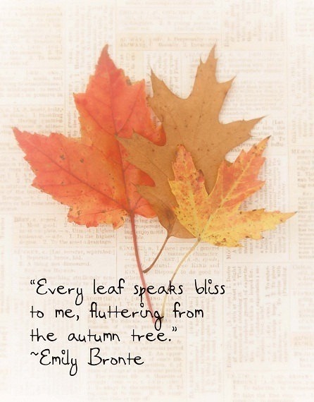 Gathering Leaves