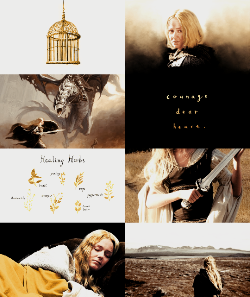 wondcrwomans:» It needs but one foe to breed a war, not two, Master Warden,’ answered Éowyn. ‘And th