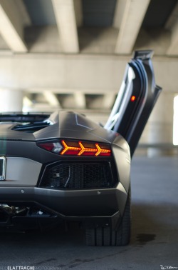 reidelattrache:  Aventador. on Flickr. Instagram