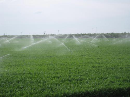 Irrigation Boosts RainfallA new study published in the journal, Geophysical Research Letters, sugges