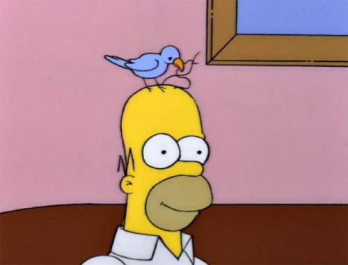 wewereborntudie:  -Homero tienes un pajaro en la cabeza-Lo se me esta acicalando 