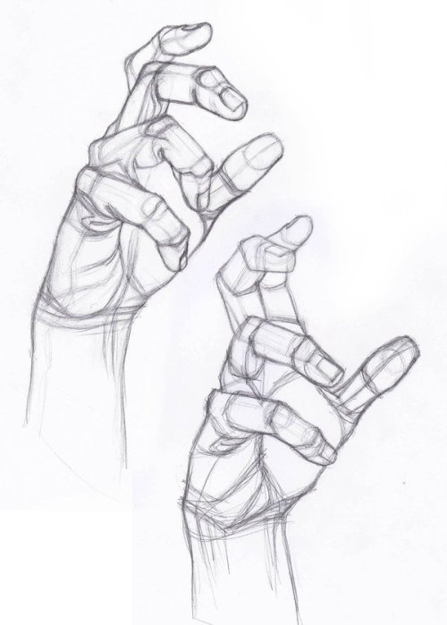 Porn Pics anatoref:  Hand Studies 