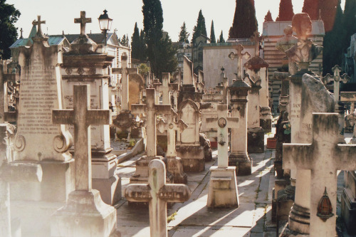 thealienemily:   	Cemetery - Florence. by Samantha Tirabasso    	Via Flickr: 	Fujica stx-1n.   