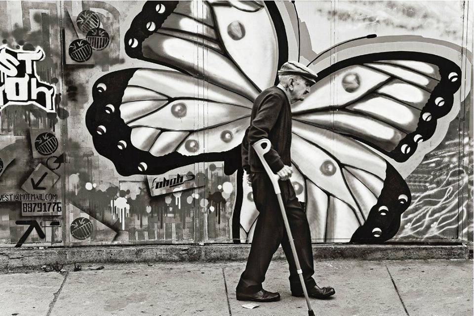 touchn2btouched:  by David Taggart &ldquo;Ready to Fly&rdquo; 
