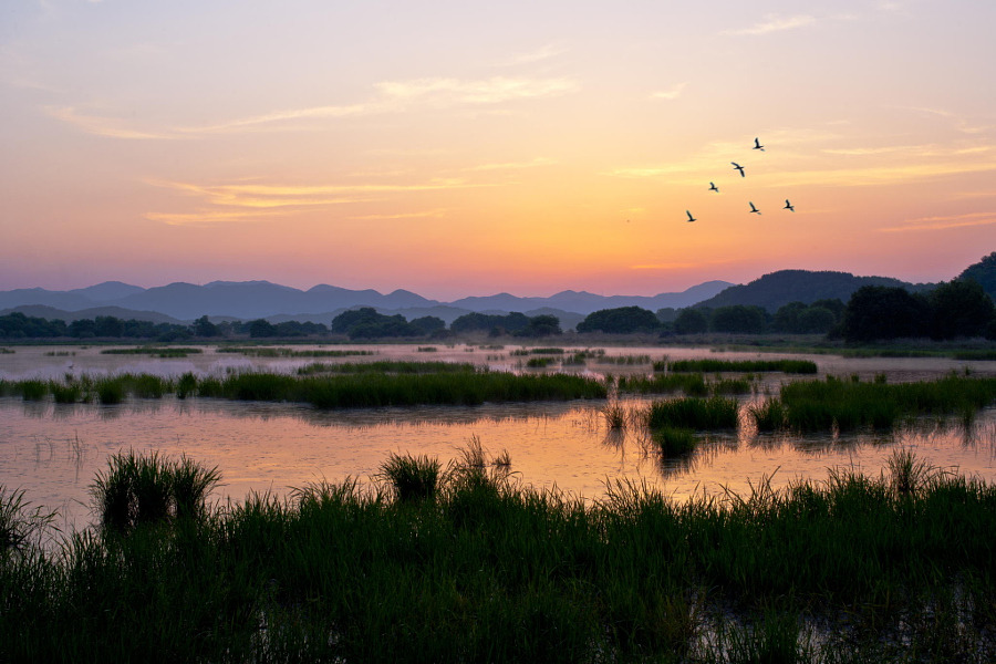 outdoormagic:  Primordial swamps of Woopo by jae youn ,Ryu