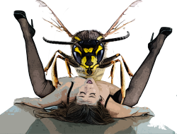 locoraptus:  Wasps are mean, and so is their