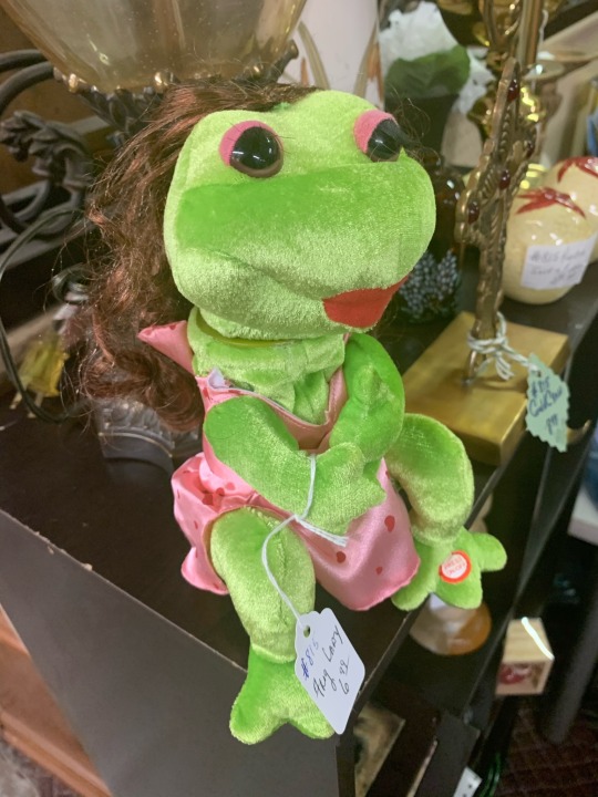 shiftythrifting:  weird to imagine an amphibian with hair. But she’s a queen ngl