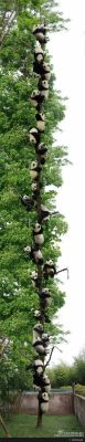 adorableanimalss:  Panda tree!