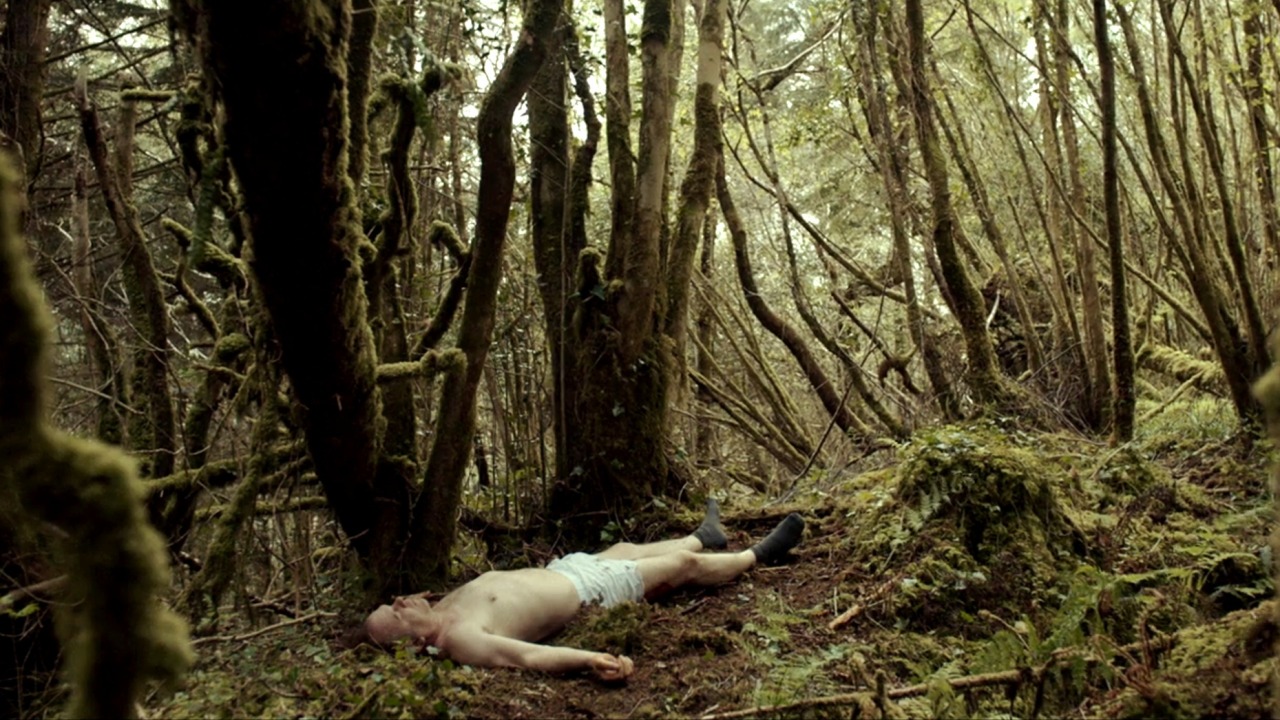 hansolocareer:  The Lobster (2015) dir ~ adult photos