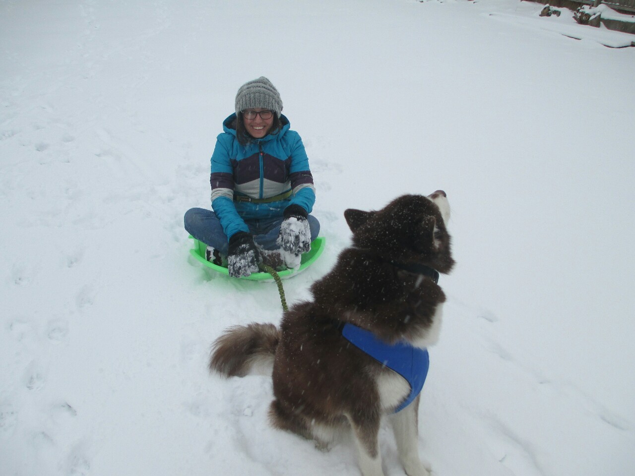 hotdiggitydog-blog:  Nope, no way, not gonna happen. Not for all the treats in the