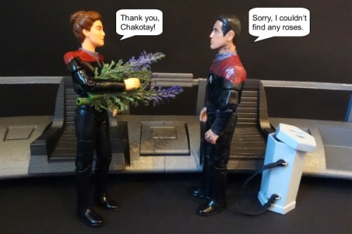 action-figures-in-action:Chakotay is on the search for some flowers for Valentine’s Day. But it does