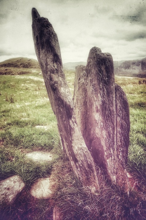 Unnamed Stone Circle, Rhinogau, North Wales, 1.8.18.One of the most beautiful and serene prehistoric
