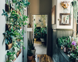 urbanjungle:Plant-filled loft