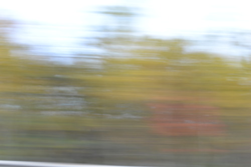 whoisbleu:  blur photography 