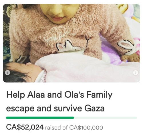 A screenshot of the GoFundMe app. It shows a picture of a young child in pink looking at a baby. Her face is cut off at the top of the photo. There is text under their photo that reads: Help Alaa and Ola's Family escape and survive Gaza. Below that is a green bar that signifies how much money they've gained in their fundraising campaign. Below the bar is the money they've raised. It is in Canadian dollars and reads: $52,024 raised of $100,000.