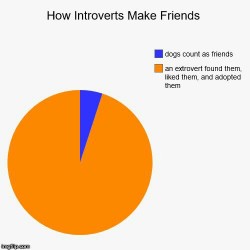 Introvert Problems