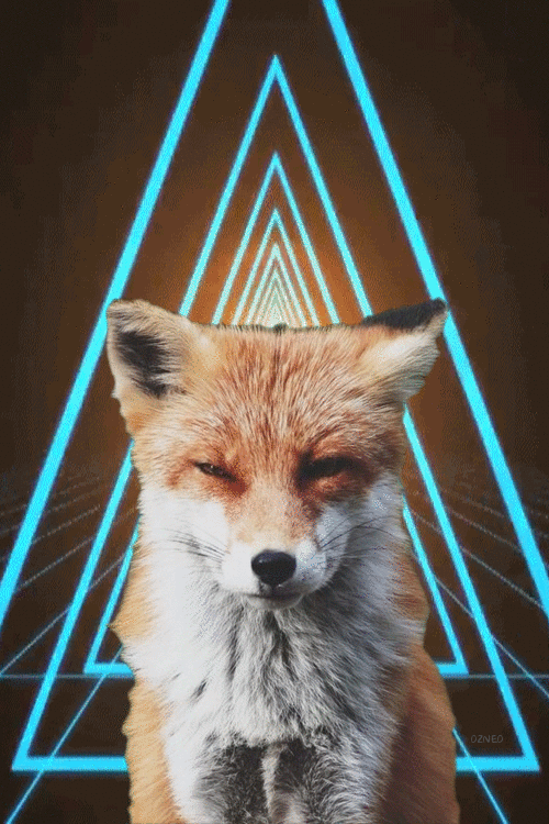 Dr Fox will see you now&hellip;