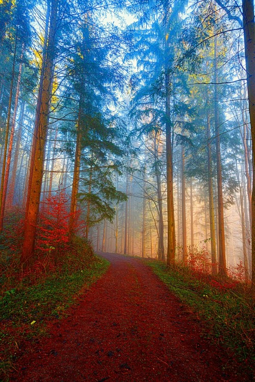 john-noe:PeacefulBEAUTIFUL SCENE
