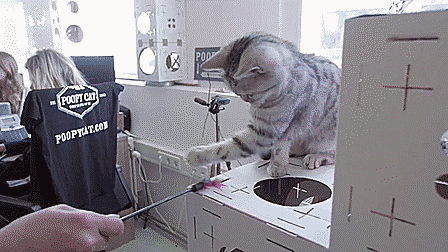 onehealthyvegan:  dean-bangs-cas-in-the-impala:  perlockholmes:  *heavy breathing*  I needs it!!!!!!!!!   how do i get this job…