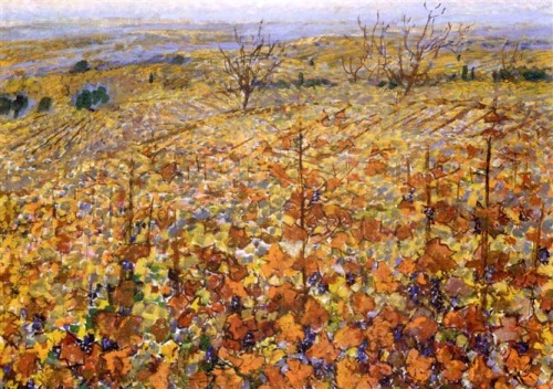 Tuscany grapes in Autumn   -  Michele CascellaItalian, 1892–1989