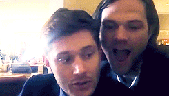 dickiebirdie37:  J2 + crashing each other’s interviews 