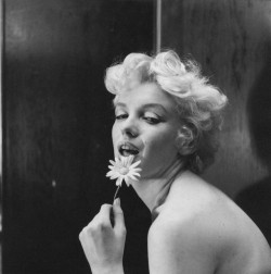 Miss-Vanilla:    Marilyn Monroe By Cecil Beaton, 1956.