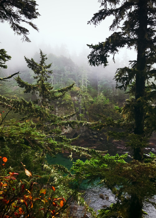 samiandthesea: Photo Diary | 2019 November 04Cape Flattery.