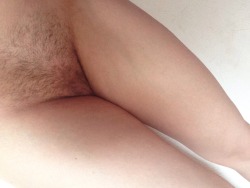 gothamskittylady:  I just cut my bush… I could not remove it.