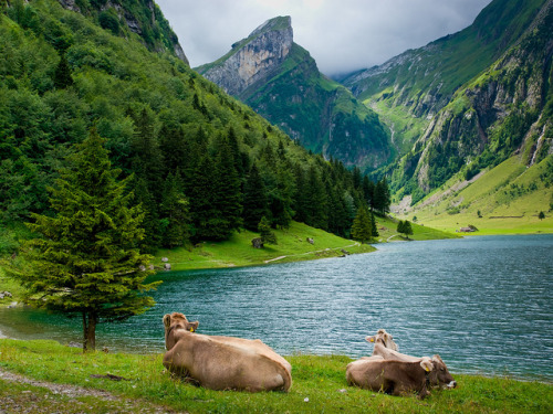 eredion: Appenzellerland by pboehi on Flickr.