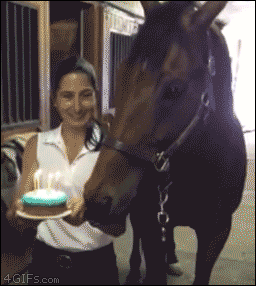 Writerman-Js:  (Via Horse-Blows-Out-Birthday-Candles) 