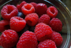 foody-goody:  Berries